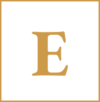 Gold E Icon